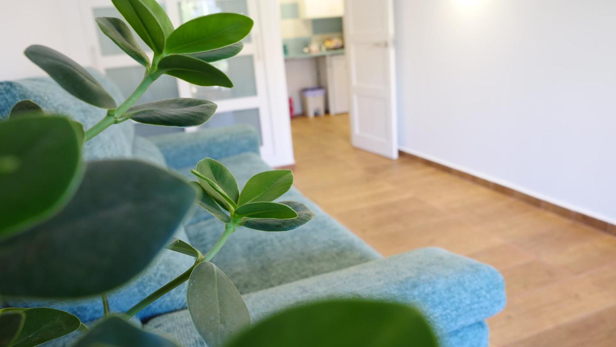 Tuerkiz Kanaan Apartman プエルト・デ・サンティアゴ エクステリア 写真